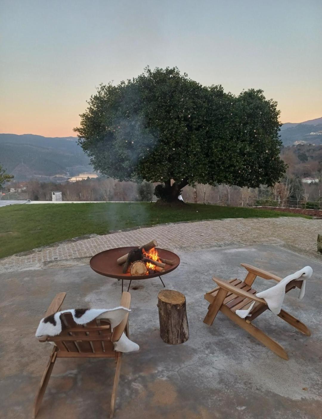 Exclusive Pena Rio Villa Ribeira de Pena Eksteriør bilde